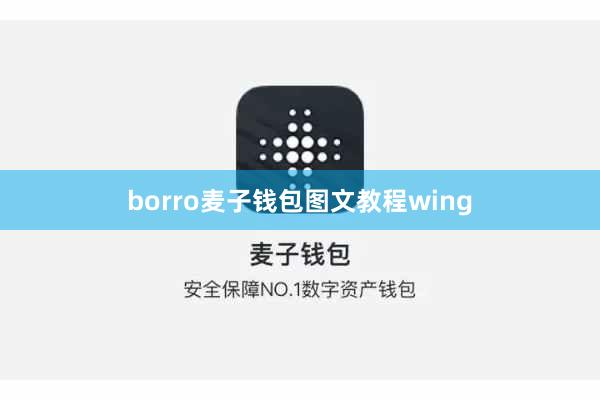 borro麦子钱包图文教程wing