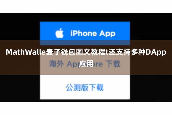 MathWalle麦子钱包图文教程t还支持多种DApp应用