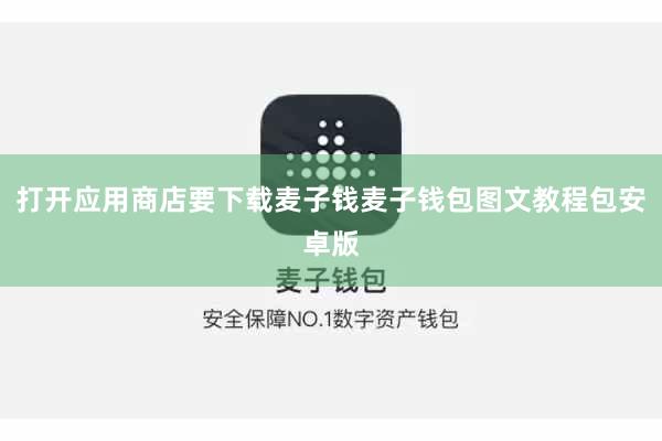 打开应用商店要下载麦子钱麦子钱包图文教程包安卓版