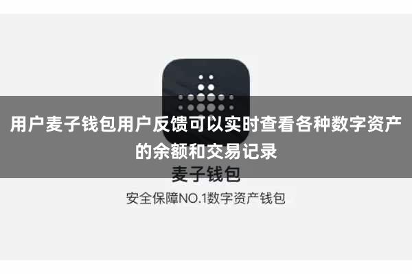 用户麦子钱包用户反馈可以实时查看各种数字资产的余额和交易记录
