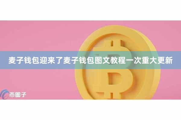 麦子钱包迎来了麦子钱包图文教程一次重大更新