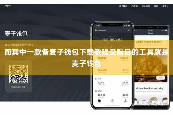 而其中一款备麦子钱包下载教程受瞩目的工具就是麦子钱包