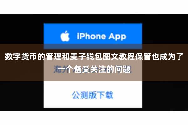 数字货币的管理和麦子钱包图文教程保管也成为了一个备受关注的问题