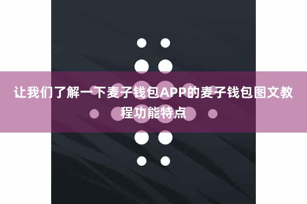 让我们了解一下麦子钱包APP的麦子钱包图文教程功能特点