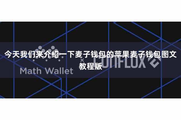 今天我们来介绍一下麦子钱包的苹果麦子钱包图文教程版