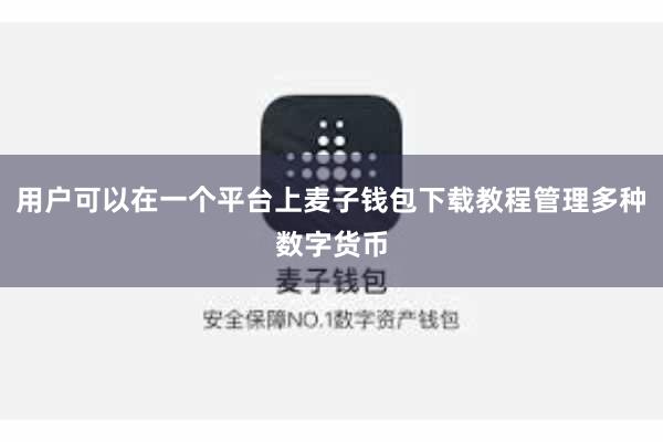 用户可以在一个平台上麦子钱包下载教程管理多种数字货币