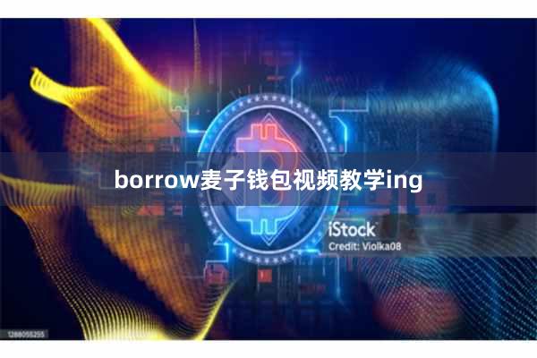 borrow麦子钱包视频教学ing