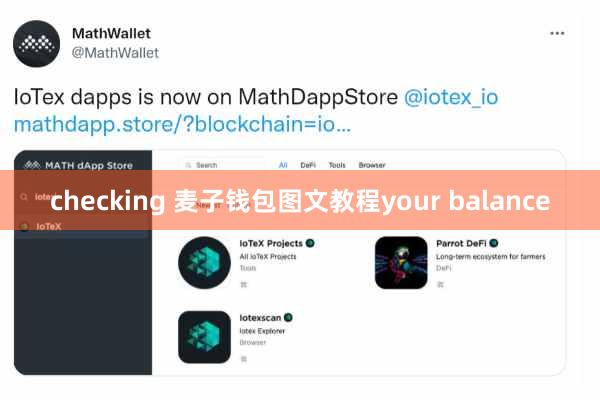 checking 麦子钱包图文教程your balance