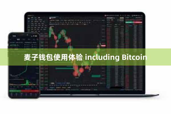 麦子钱包使用体验 including Bitcoin
