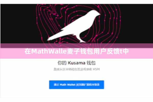 在MathWalle麦子钱包用户反馈t中