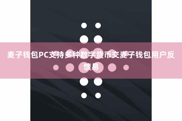 麦子钱包PC支持多种数字货币交麦子钱包用户反馈易