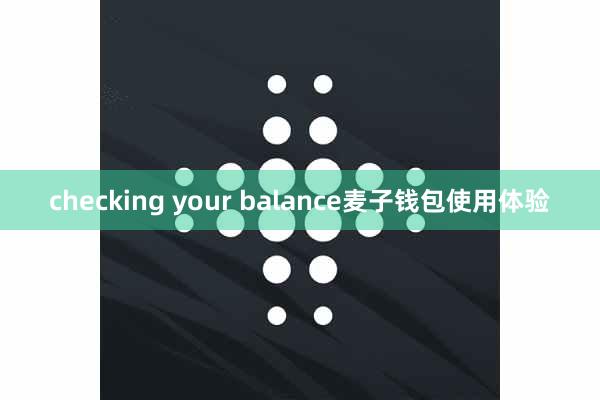 checking your balance麦子钱包使用体验