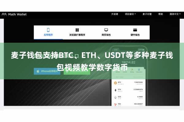 麦子钱包支持BTC、ETH、USDT等多种麦子钱包视频教学数字货币