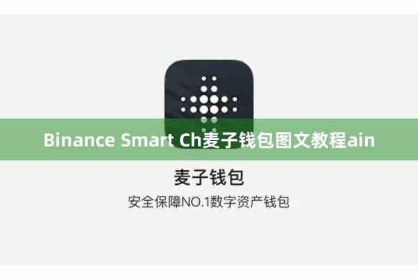 Binance Smart Ch麦子钱包图文教程ain