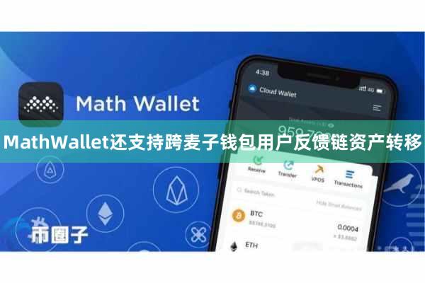 MathWallet还支持跨麦子钱包用户反馈链资产转移