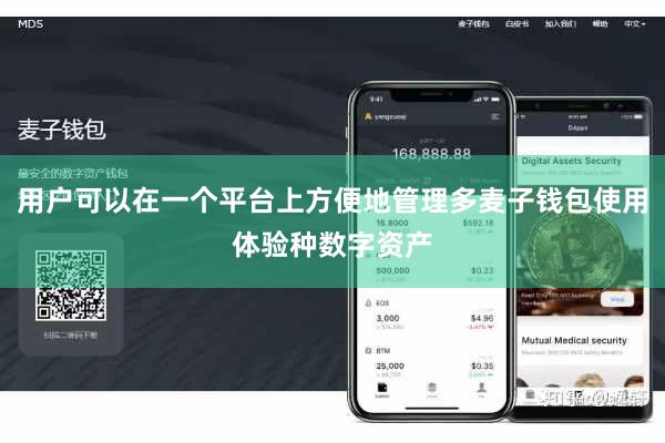 用户可以在一个平台上方便地管理多麦子钱包使用体验种数字资产