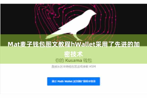 Mat麦子钱包图文教程hWallet采用了先进的加密技术